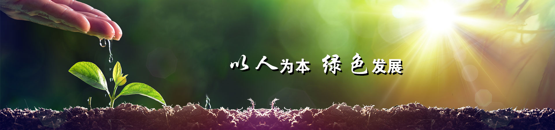 蘇州PP中空板
